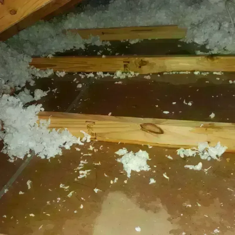 Attic Water Damage in Cedartown, GA