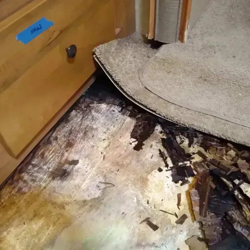 Best Wood Floor Water Damage Service in Cedartown, GA